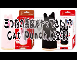 グッズ CatPunch動画[アダルトグッズ]
