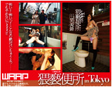 DREAMTICKET 女優ポスター