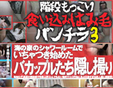 TheQ 2011-8月新作