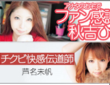 WAAP 2011-11月新作