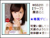 WAAP 2014-11月新作